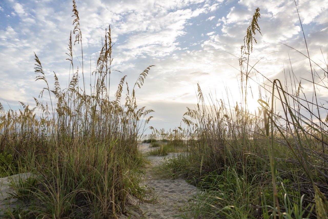 beach sunrise with sea grass and blue skies