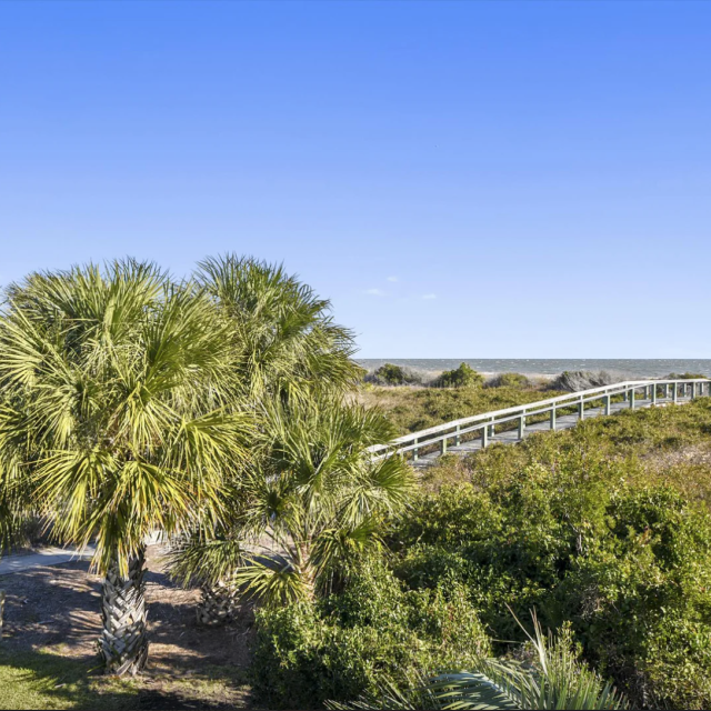 7 Palmwood Court beach access surrounded by palm trees and foliage