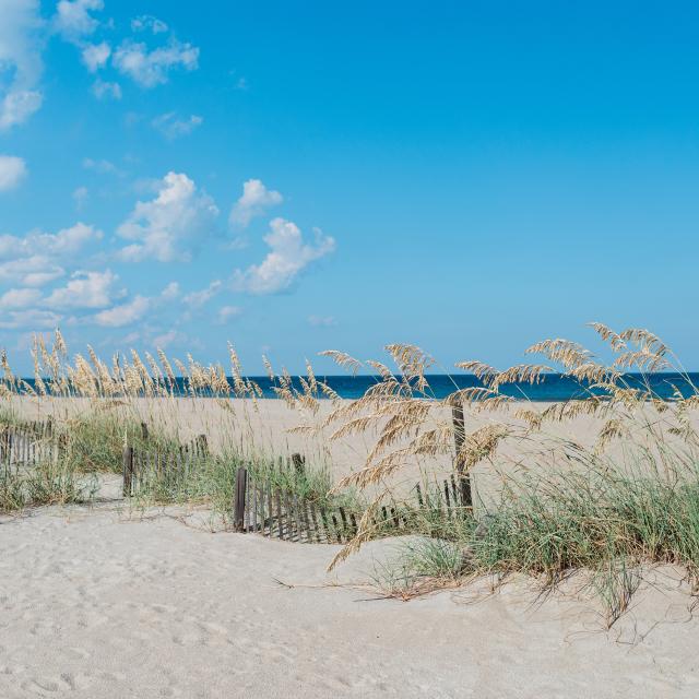 tybee island mid beach