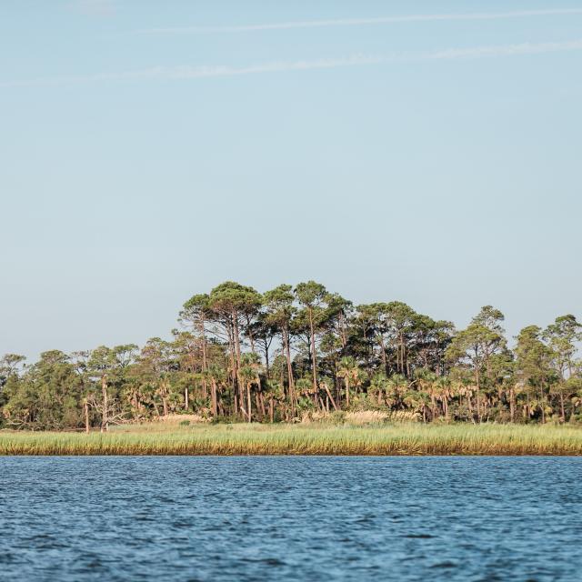little tybee island
