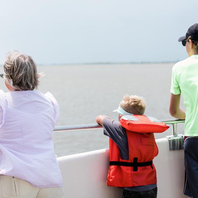 People dolphin watching on a boat.