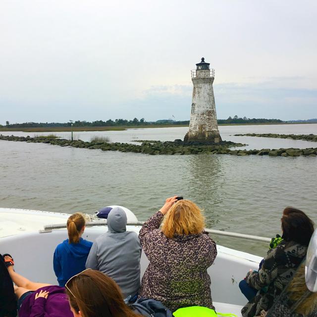 captain mikes dolphin adventure tour tybee island