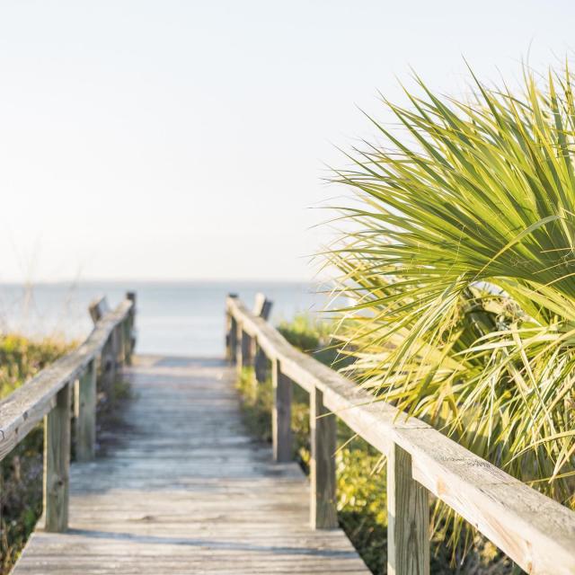 beach crossover to Tybee Island beach