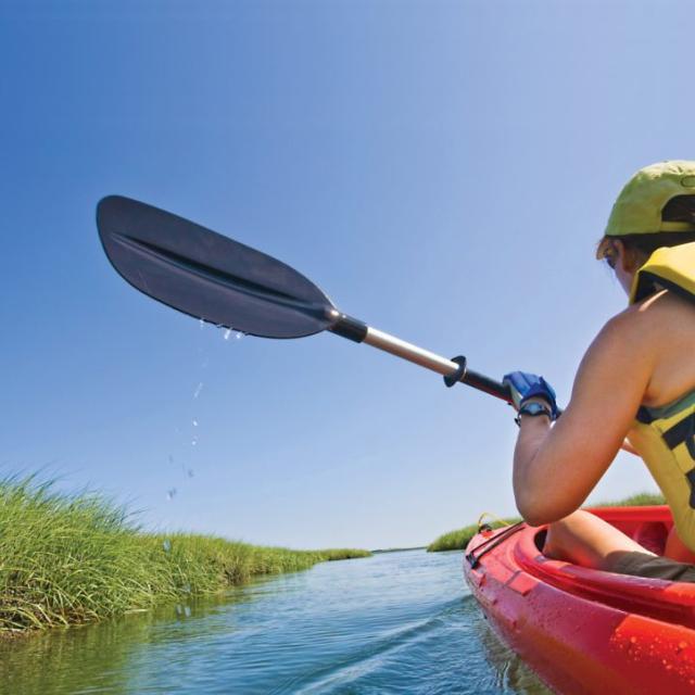 A person wearing a yellow life vest kayaking through a marsh.