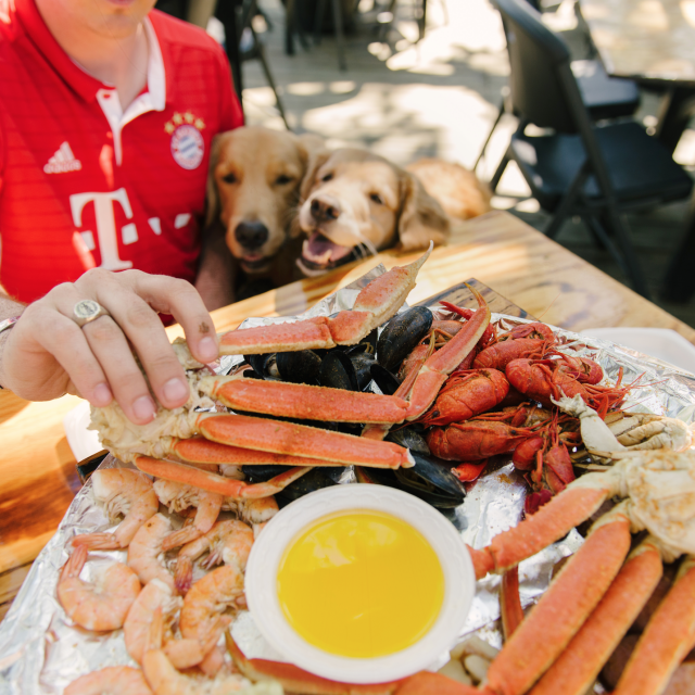 A person holding a crab leg while two dogs watch from below a table.