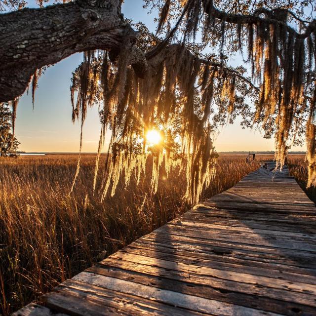 marshland sunset, tybee island