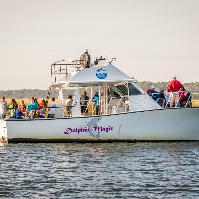 Student Tour Tybee Island Dolphin Magic