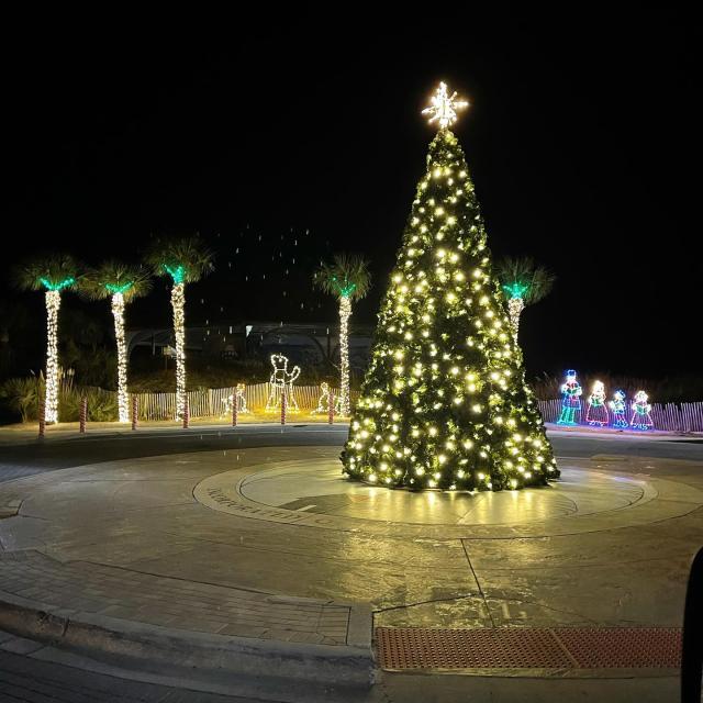 A beautifully lit outdoor Christmas tree