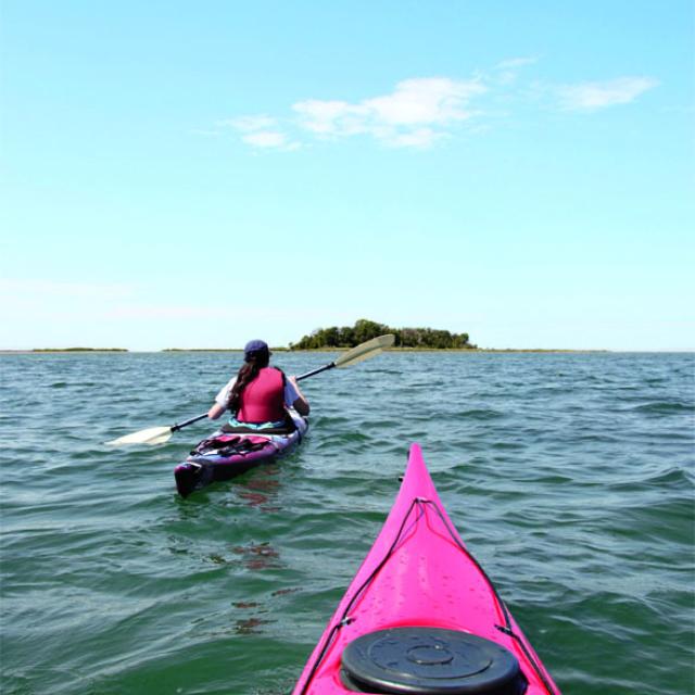 Tybee Island Georgia Kayak