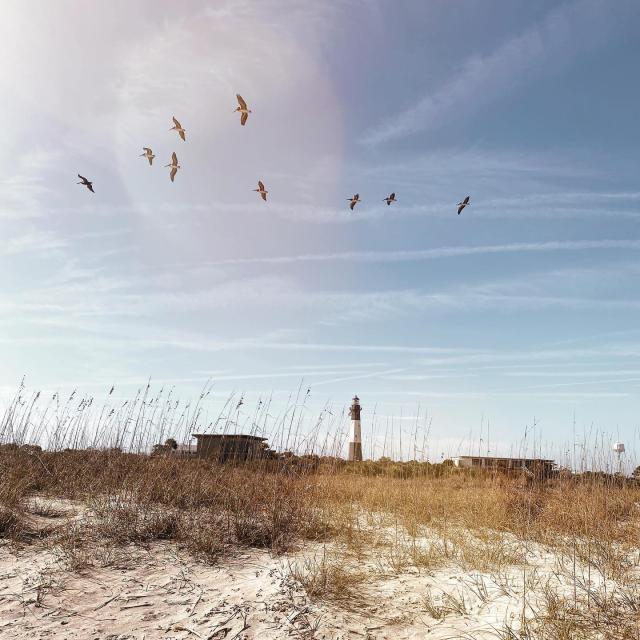 Beach view, birds in the air, lighthouse in the background