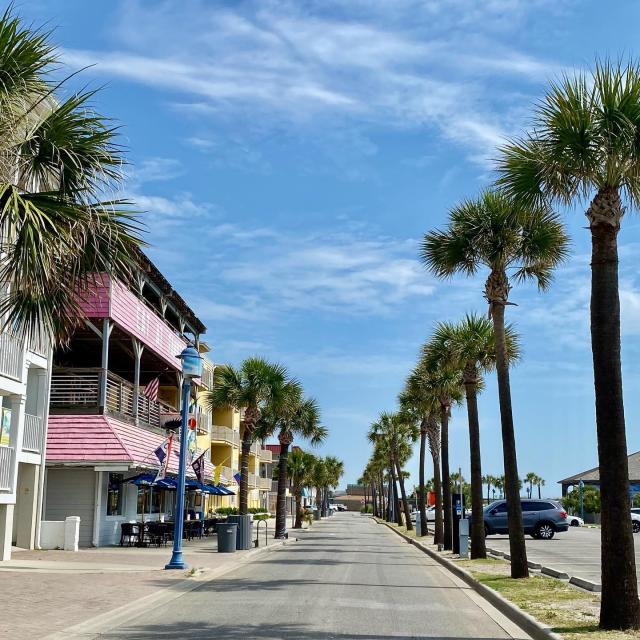 Businesses lined along the street surrounded by palm trees