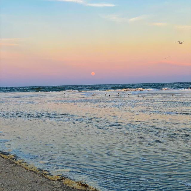 Tybee Island beach