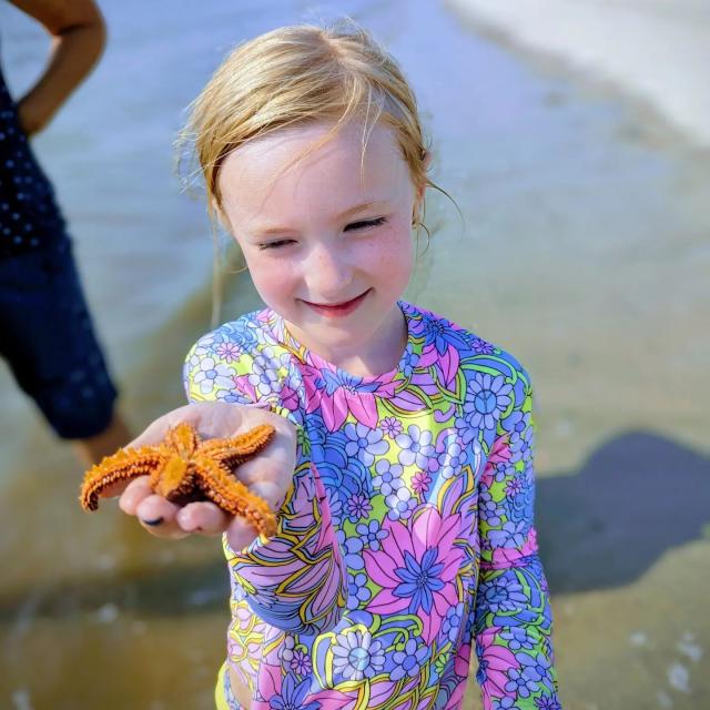 A young child holding a starfish on the beach.