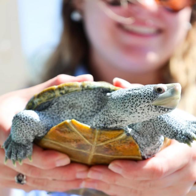 A woman holding a turtle.
