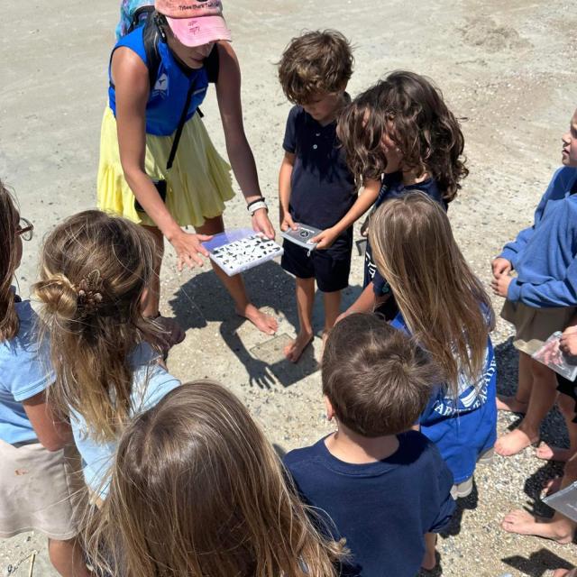 A group of children collecting fossils on the beach with a guide.