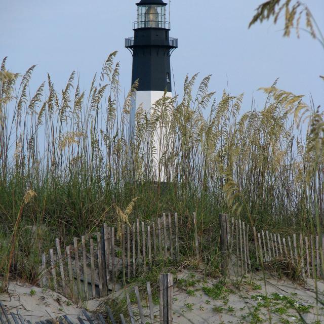 View of the Tybee Island Lighthouse from the sand dunes