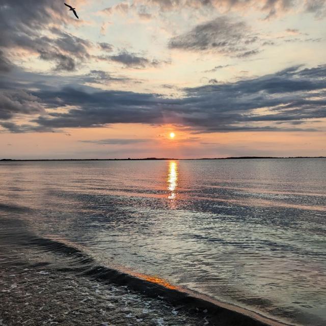 Sunset over calm coastal waters near Tybee Island, with golden light reflecting across the water and clouds stretching across the sky.