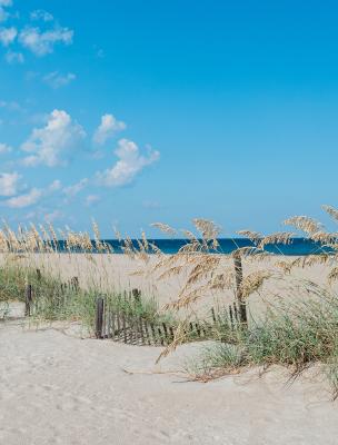 tybee island mid beach