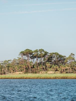 little tybee island