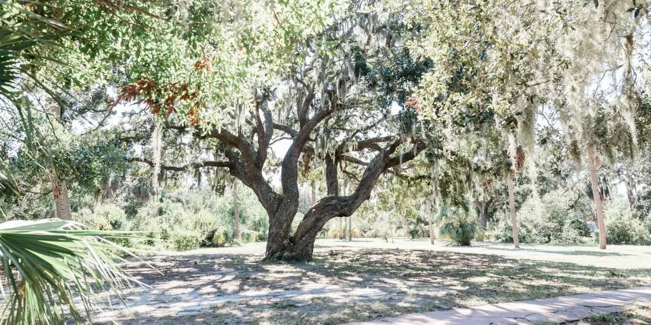 jaycee park recreation outdoors tybee island