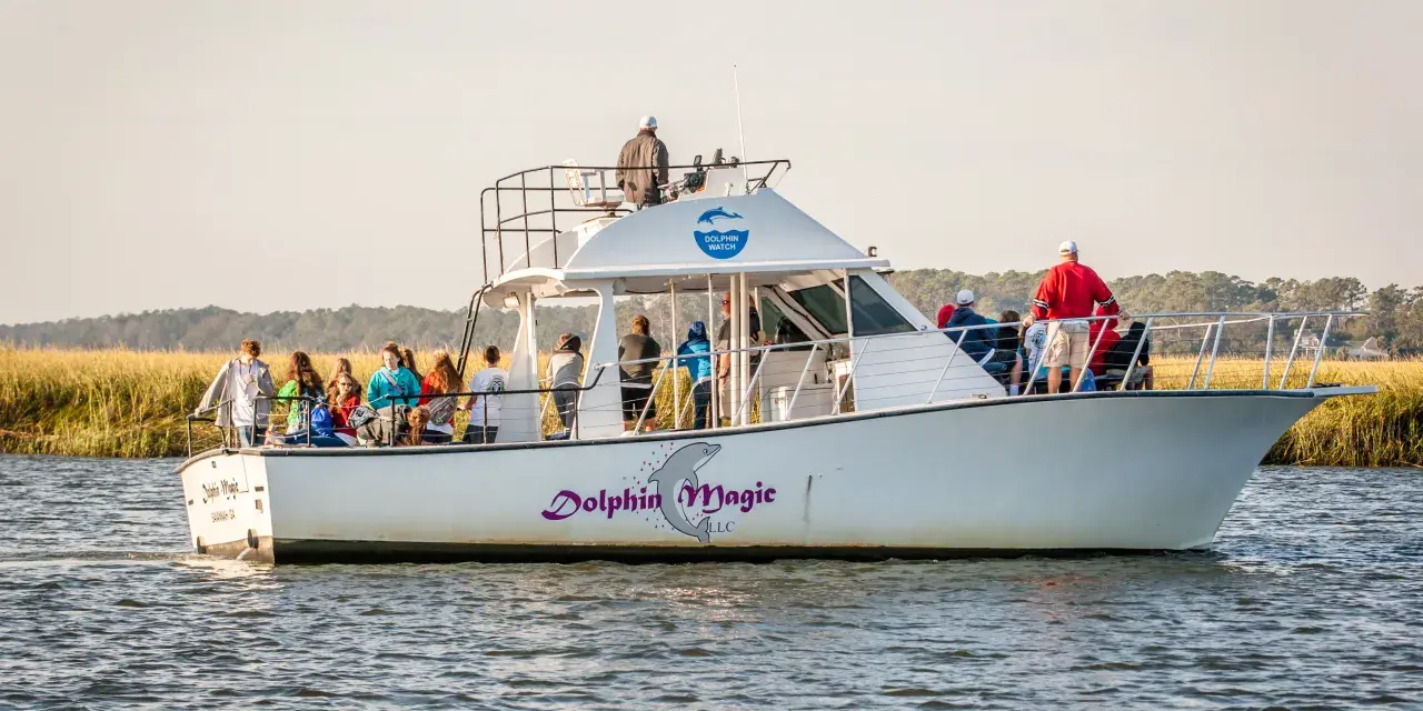 Student Tour Tybee Island Dolphin Magic
