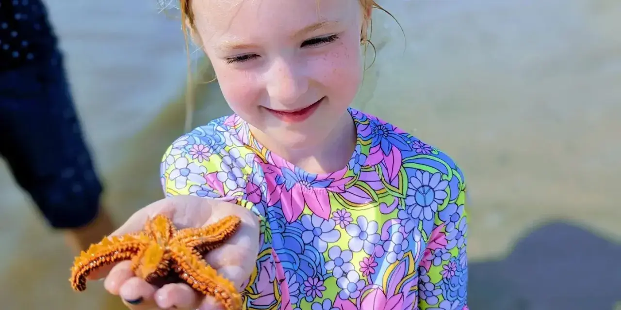 A young child holding a starfish on the beach.