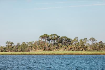 little tybee island