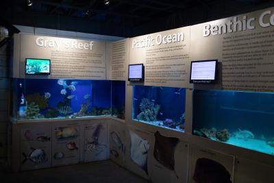 Tybee Island Marine Science Center Tybee Island Georgia