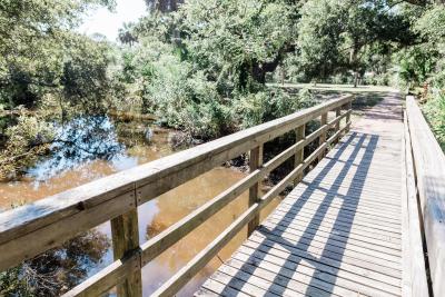 jaycee park recreation outdoors tybee island