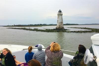 captain mikes dolphin adventure tour tybee island