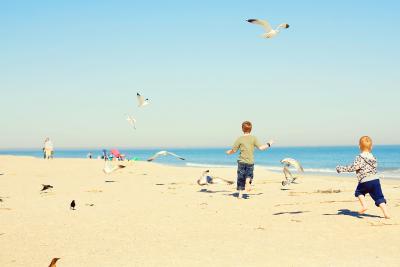 beach kids birds fall