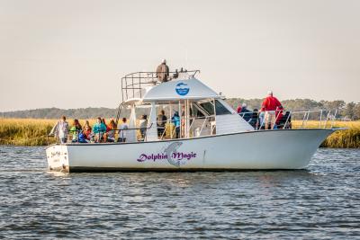 Student Tour Tybee Island Dolphin Magic