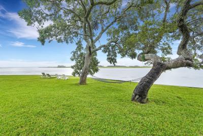 Waterfront lawn at Horsepen Cottage by Coastline Concierge, featuring live oak trees, a hammock and views of the tidal river.