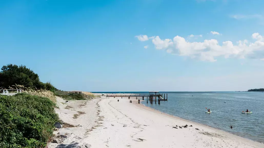 Back River Beach Tybee Island