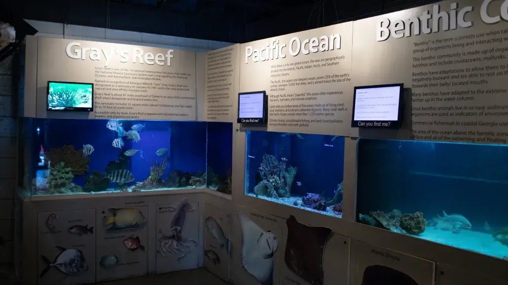 Tybee Island Marine Science Center Tybee Island Georgia
