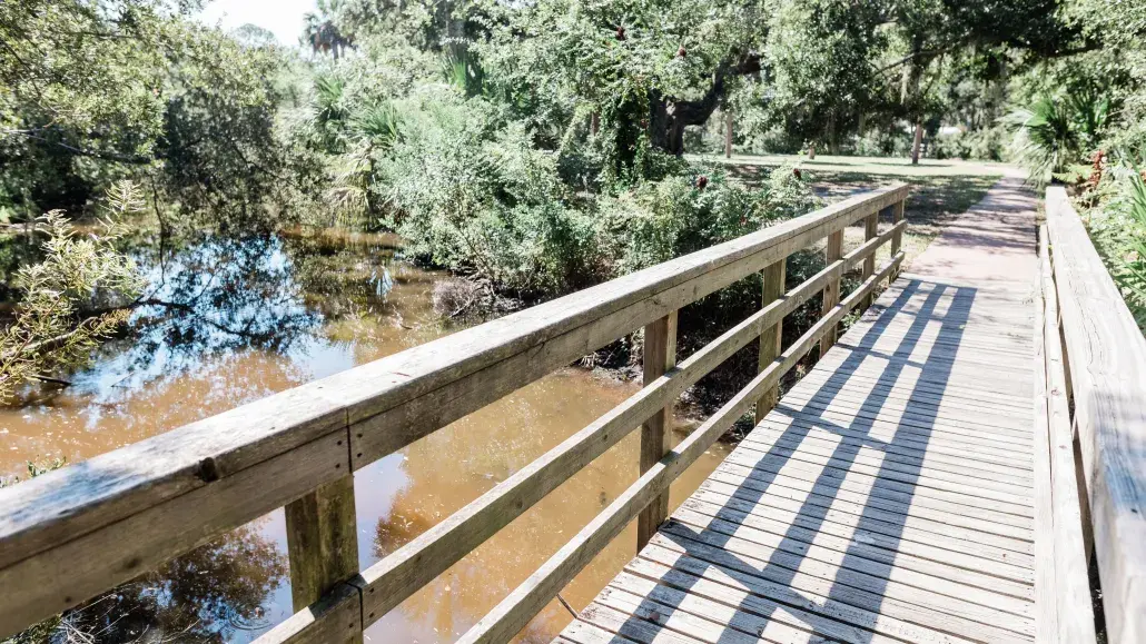 jaycee park recreation outdoors tybee island