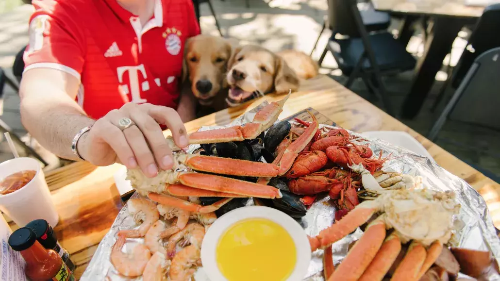Dogs The Crab Shack Tybee Island