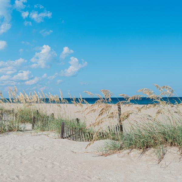 All 32+ Images is tybee island on the atlantic ocean Stunning All 32+ Images is tybee island on the atlantic ocean Stunning
