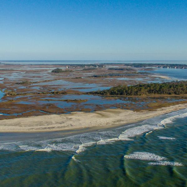 visit little tybee island