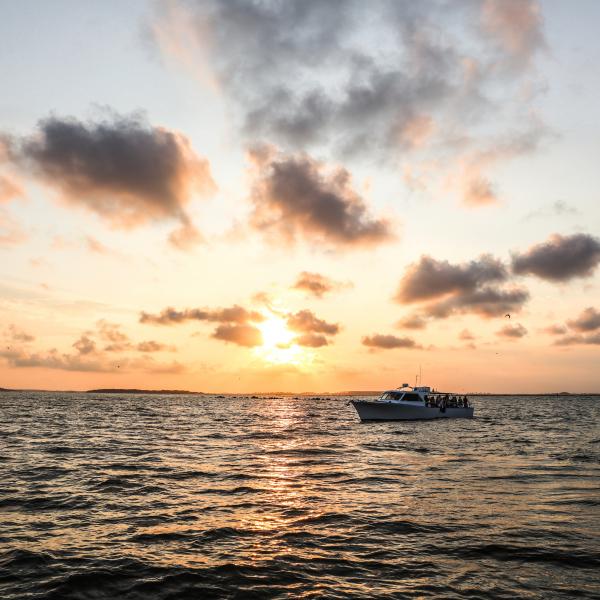 Sunset Cruise sunset cruise
