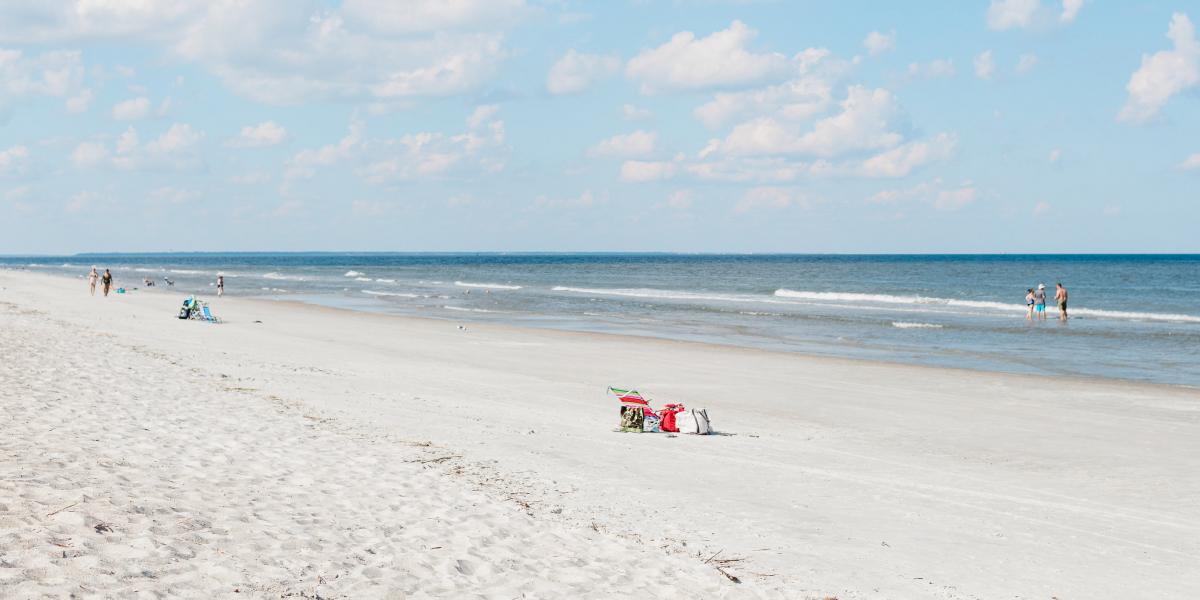 are dog allowed on beaches tybee island