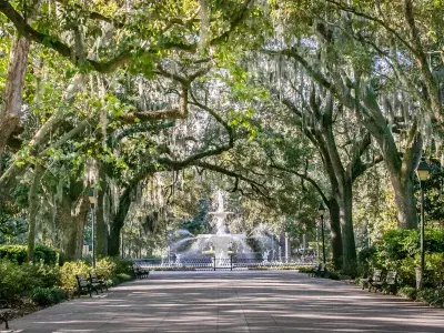 A view of a white fountain surrounded by large trees in a park.