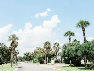 An island neighborhood surrounded by large palm trees