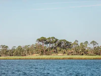 little tybee island