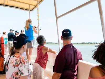 People dolphin watching on a boat.
