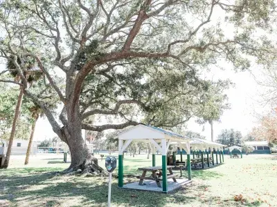 A park with numerous pergolas and picnic tables sitting beneath them.