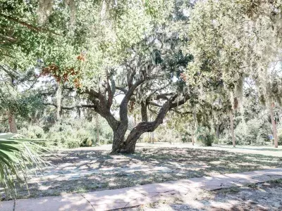 jaycee park recreation outdoors tybee island