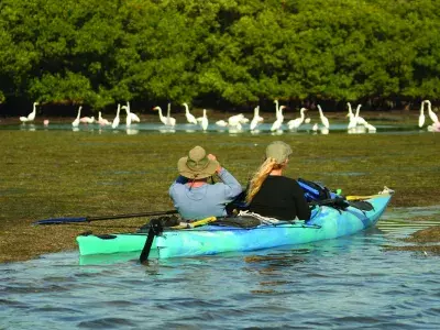 Birdwatchers on Tybee Island.