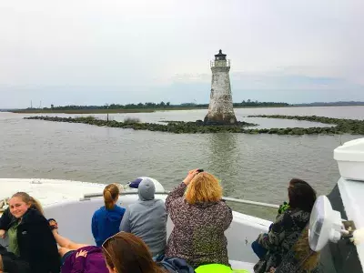 captain mikes dolphin adventure tour tybee island