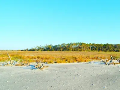 little-tybee-island-outdoor-recreation-explore-tours-boat-excursion